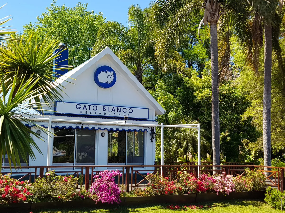 Gato Blanco in the Delta